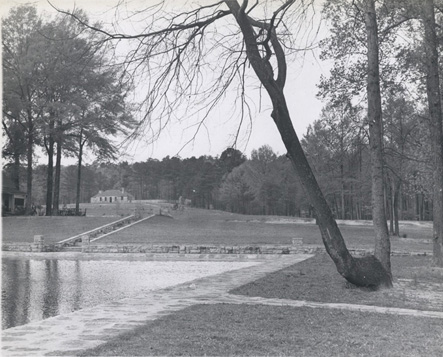 5LanePark
